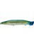 Pop'n Catch 3D 12.5cm 19GR Popper Maket Balık RENK:3D88 1