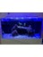 Bar LED Aydınlatma Royal Mavi 80CM 3
