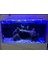 Bar LED Aydınlatma Royal Mavi 30CM 2