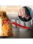 Ankaflex Evcil Hayvan Araç Emniyet Kemeri Kedi Köpek Araba Oto Tasması Oto Aksesuarı Kedi Köpek Emniyet Kemer 1
