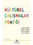 Kültürel Çalışmalar Pratiği - Richard Johnson 1