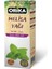 Melisa Yağı 20 ml 1