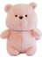 40 cm Orta Boy Süt Torbası Ayı Bebek Peluş Oyuncak Kız (Yurt Dışından) 1