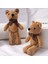 15 cm Ayı Peluş Oyuncak Bebek Sevimli Elbise Anahtar Kolye Kolye Bebek Hediye Doğum Günü Düğün Parti Dekorasyon (Yurt Dışından) 4