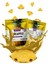 Refresh Chips Freeze Dried Ananas - Dondurularak Kurutulmuş Meyve - Freeze Dry Meyve Kurusu 30GR 1