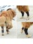 2 Adet Köpek Pati Bandajı,, Siyah (Ön ve Arka Patiler Için) 3