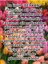 Halhal Fimo Flower 3