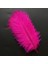 400 Pcs Decor Vıp Dark Pınk Bırd Feather 400 Adet Koyu Pembe Kuş Tüyü Şeffaf Balon Tüyü Süsleme Tüyü 1
