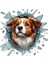 Akdenizpos XD01 Fulcar Australian Shepherd Araç Stickerı (Yeni) 1