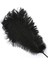 400 Pcs Decor Vıp Black Bırd Feather 400 Adet Siyah Kuş Tüyü Siyah Şeffaf Balon Tüyü Süsleme Tüyü 1