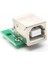 - 5 Adet - USB Type B To Dip Çevirici Pcb USB Haberleşme Deney Prototip 5V 2
