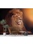Aslan Temalı 5
