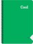 Defter A4 40 Yaprak Çizgili Plastik Kapak Spiralli Cool Defter 1