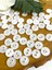 13 mm Beyaz Polyester Gömlek Düğmesi(20 Adet) 1