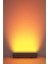 Wallwasher 100CM Amber Ecoled 1