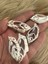 5 Adet Desenli Kemik Takı Aksesuarı Delikli 5x2 cm 2