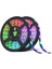 Üç Çip Dış Mekan Rgb Şerit LED Orjinal 5 Metre CT-4534 1