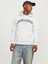 Jack & Jones Jjecaleb Varsity Erkek Sweatshirt 1