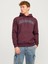 Jack & Jones Jjecaleb Varsity Erkek Sweatshirt 1