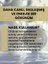 Göz Kenarı Kırışıklık Karşıtı Serum 4