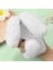 Nothing Kılıf Cmf Telefon 1 Tavşan Furprotection Plushcase Sonbahar ve (Yurt Dışından) 5