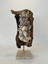 Ahşap Driftwood El Işi Dekor Biblo 1