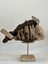 Ahşap Driftwood El Işi Dekor Biblo 1