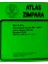 P.100 Atlas Zımpara Kaliteli Green "888" (10 ADET) 2