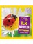 National Geographic Kids - İlk Böcekler Kitabım - Catherine D. Hughes 2