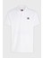Pamuklu Regular Fit Polo Yaka T Shirt Erkek Polo Yaka T Shirt DM0DM18314 Ybr 5