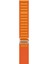 Honor Watch Gs Pro Için Alpine Loop Kordon (22MM) 4