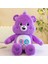 27 cm Disney Gökkuşağı Ayı Karikatür Peluş Süper Yumuşak Yatıştırıcı Uyuyan (Yurt Dışından) 2