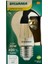 4,5W (35W) Endirekt 2700K (Sarı Işık) E27 Duylu LED Ampul (10 Adet) 2