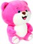 70 cm Kapşonlu Uykumcuk Peluş Ayıcık Panda 1
