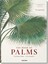 The Book of Palms / Das Buch der Palmen / Le livre des palmiers 10