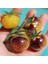 Antho Weib Domates Tohumu(15 Tohum) 1