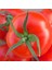 Doğal 2274 Domates Tohumu (20 Adet) 2