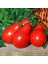 Red Pear Domates Tohumu (15 Tohum) 1