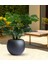 Fiber Saksı Antrasit Küre Yuvarlak Top Vazo Dekoratif Saksı Fiberglas 30*30CM 5