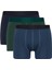 Regular Fit 3'lü Boxer B7793AX24SM 1