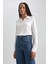 Regular Fit Uzun Kollu Gömlek N2518AZ23AU 3