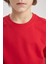 Erkek Çocuk Kırmızı Bisiklet Yaka Kısa Kollu Okul Tişörtü K1687A624SM 5