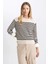 Regular Fit Çizgili Bisiklet Yaka Basic Düz Triko Kazak Z1317AZ23WN 4