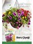 100 Adet Boru (Petunya) (Petunia) Çiçek Tohumu 1