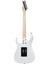 RG450DXB-WH Elektro Gitar 2