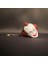 Pennywise Anahtarlık 5