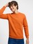 Erkek Sweatshirt Mercan LF2034268 1