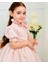 Pudra Pembe Inci Vintage Kız Bebek Elbisesi,doğum Günü,fotoğraf Çekim Elbise,0-10 Yaş Uygun 4
