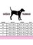 Isimli Airmesh 4'lü Tasma Seti Köpek Göğüs Tasması + Boyun Tasması + Gezdirme Kayışı + Çanta 4