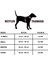 Isimli Airmesh 4'lü Tasma Seti Köpek Göğüs Tasması + Boyun Tasması + Gezdirme Kayışı + Çanta 5